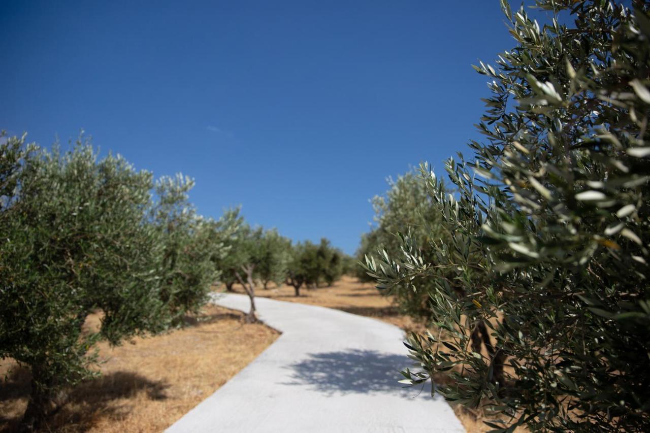 Triopetra Green Dream מראה חיצוני תמונה